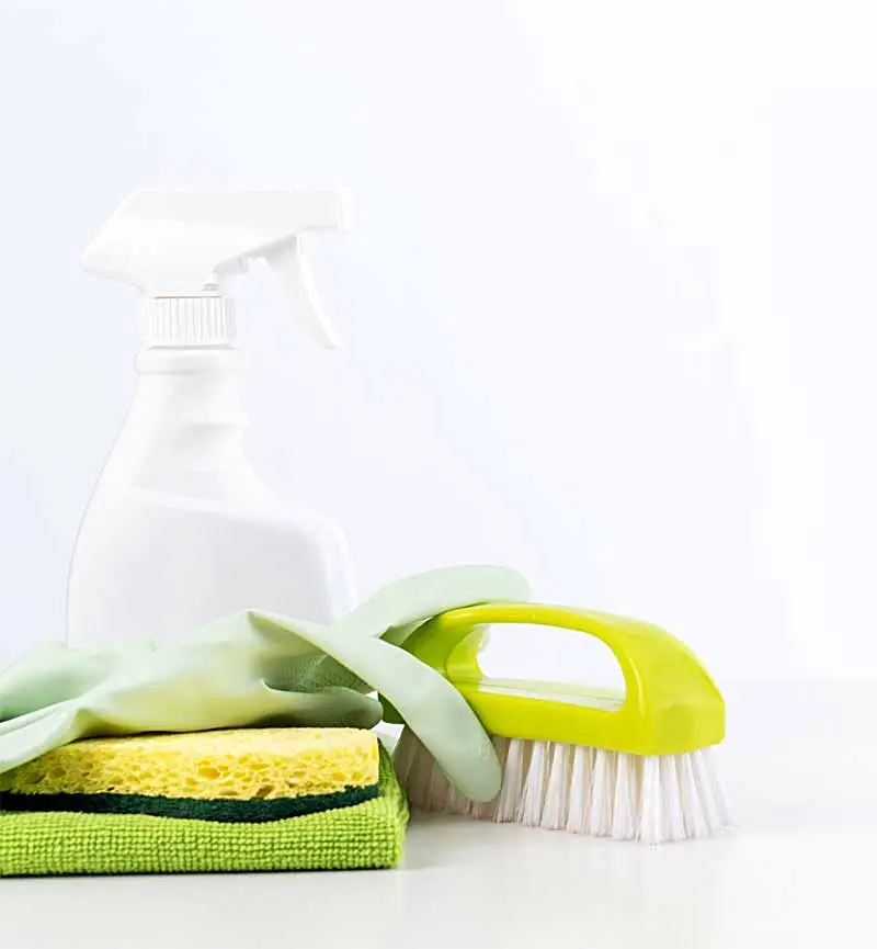 Regular Cleaners Regular Cleaners in West London | Trusted Experts | Cleaner Direct